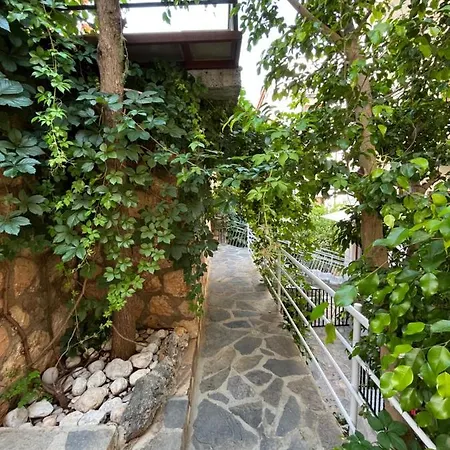 酒店 塔拉伊潘斯酒店 *